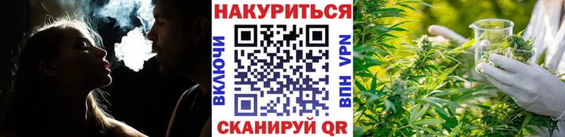 Купить закладки  Весьегонск  Конопля план 